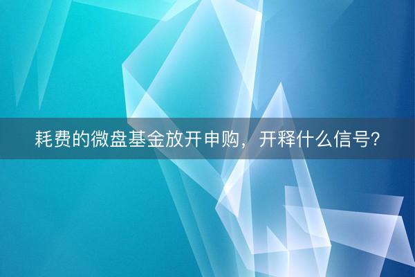 耗费的微盘基金放开申购，开释什么信号？